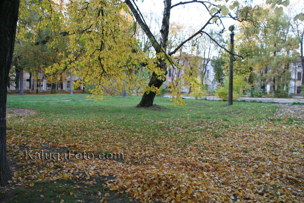 Осенняя природа парка