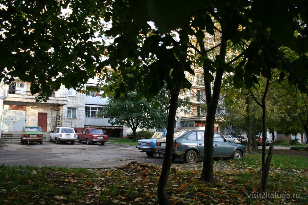 Заросший двор панельного дома