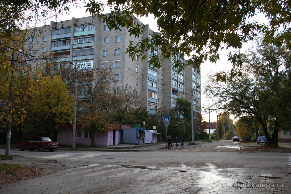 Отражение панельки в луже двора