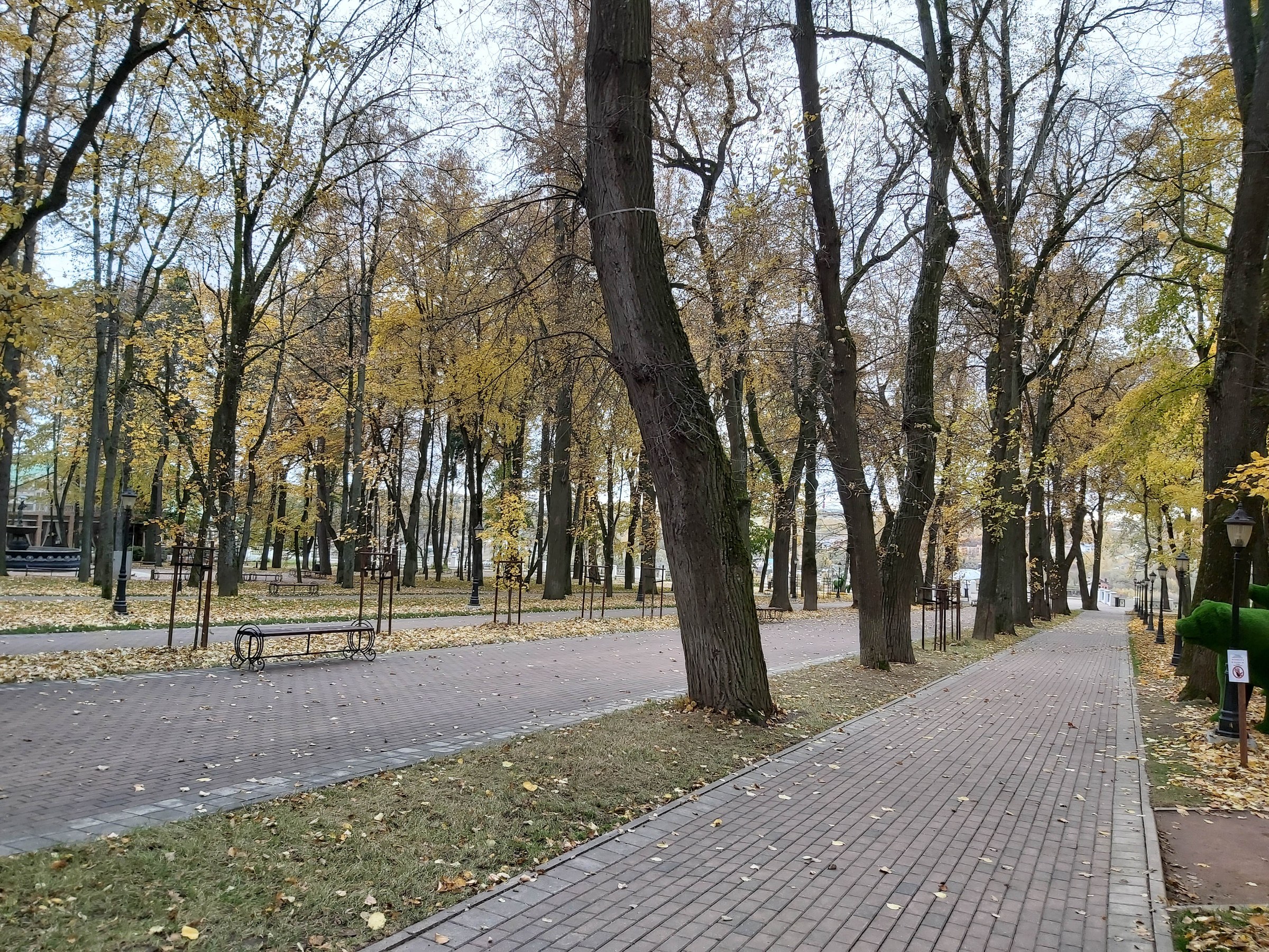 Калуга, 7 октября 2019 — 09