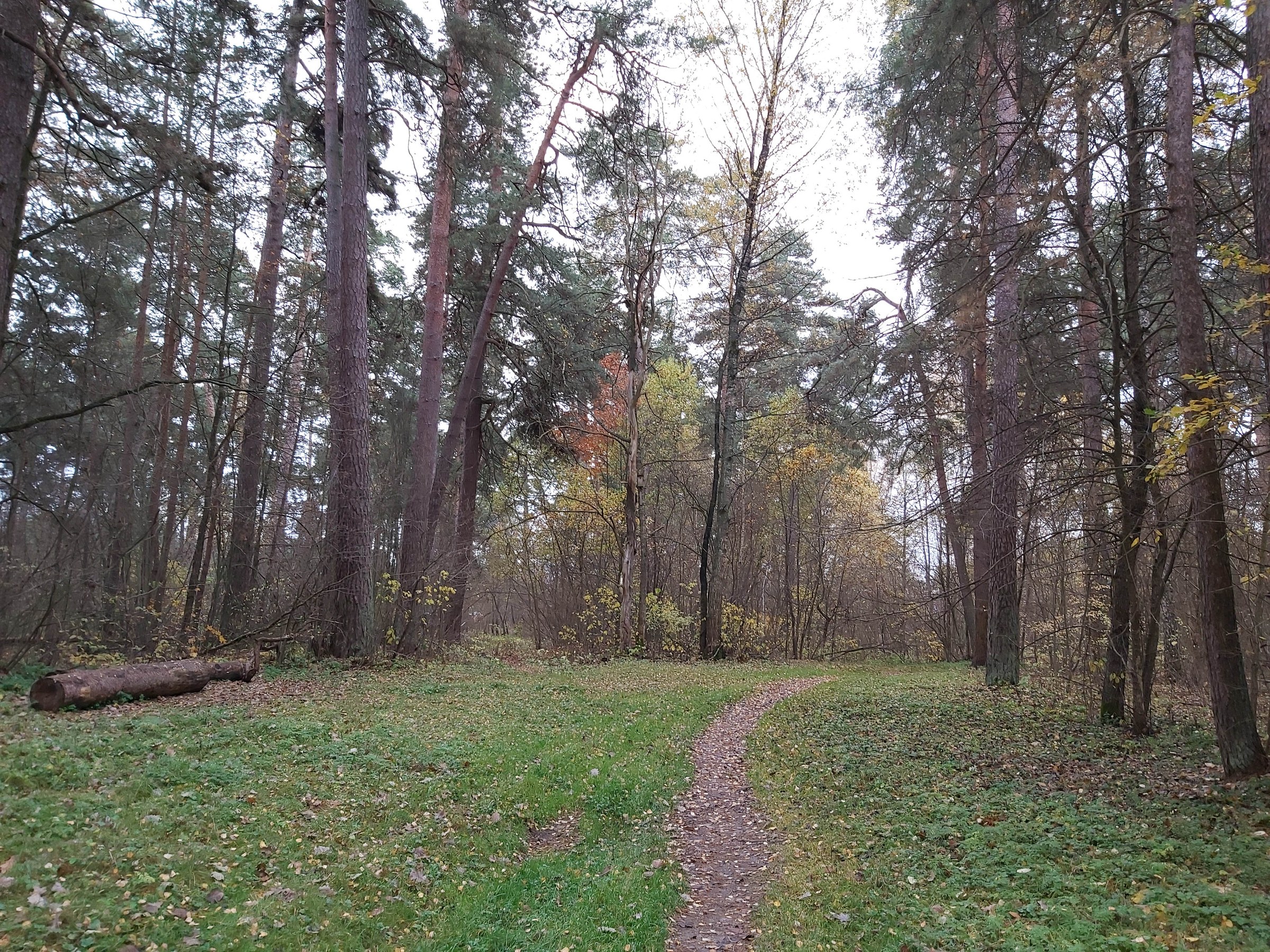 Калуга, 12 октября 2019 — 02