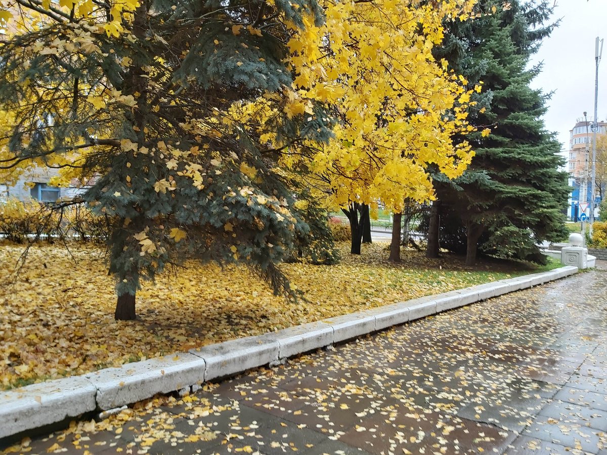 Калуга, 6 октября 2019 — 04