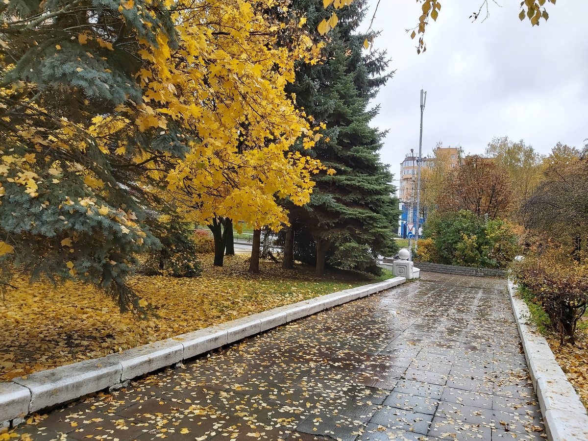 Калуга, 6 октября 2019 — 05