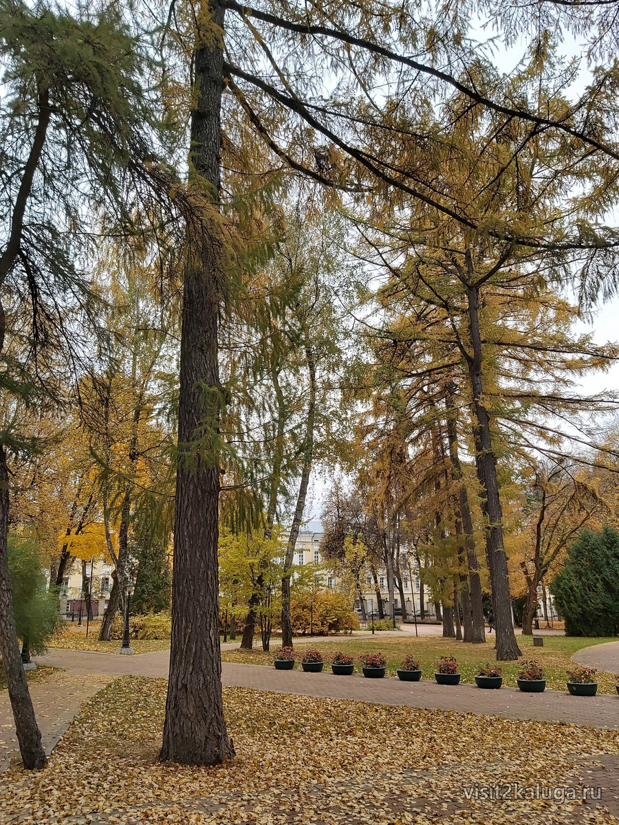 Калуга, 7 октября 2019 — 03
