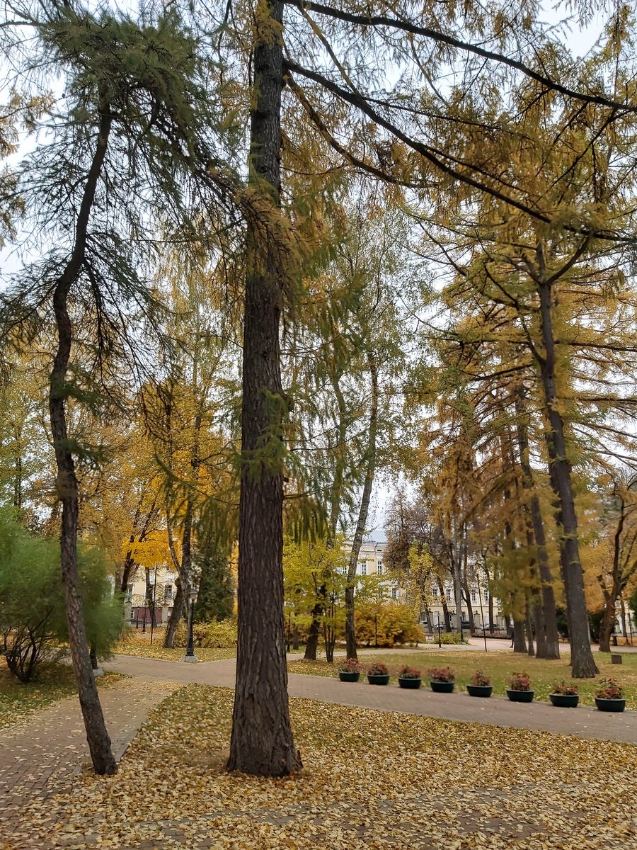 Калуга, 7 октября 2019 — 04