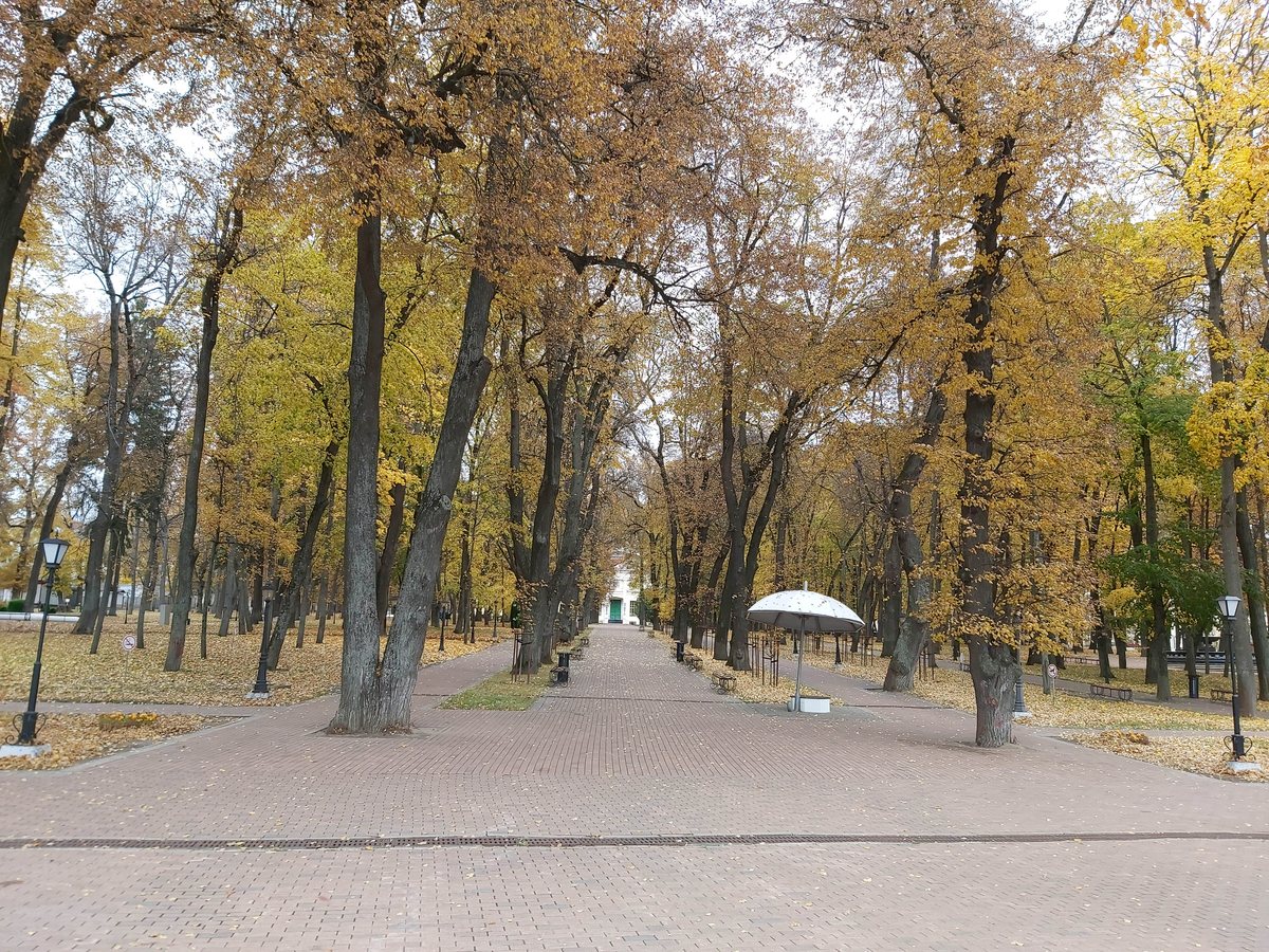 Калуга, 7 октября 2019 — 12