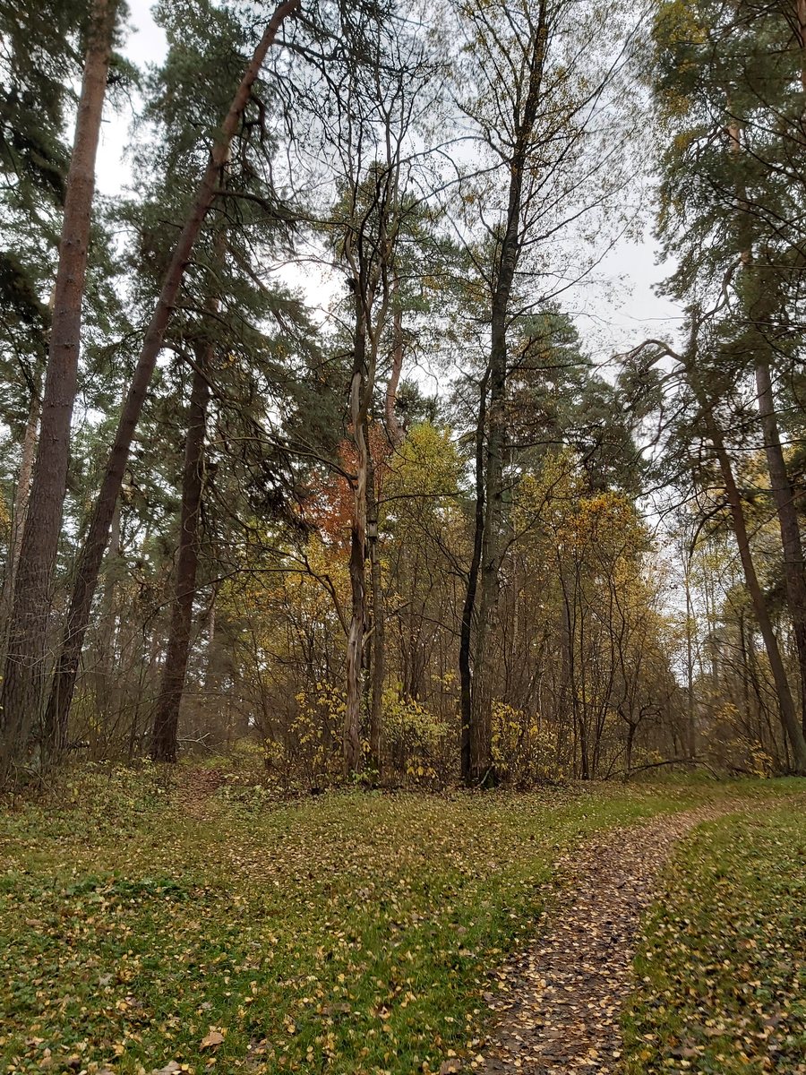Калуга, 12 октября 2019 — 03
